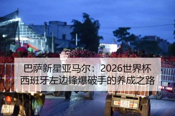 ba-sa-xin-xing-ya-ma-er-shi-jie-bei-xi-ban-ya-zuo-bian-feng-bao-po-shou-de-yang-cheng-zhi-lu-2-395.jpg